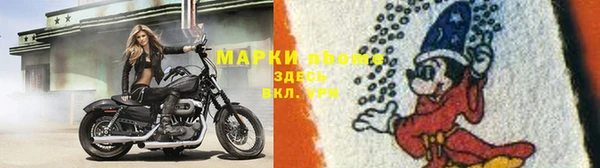 молекула духа Новокубанск