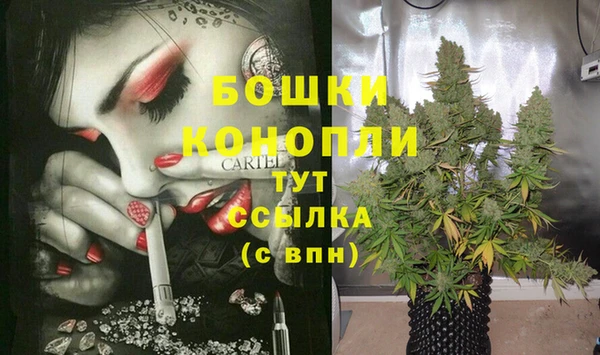 молекула духа Новокубанск
