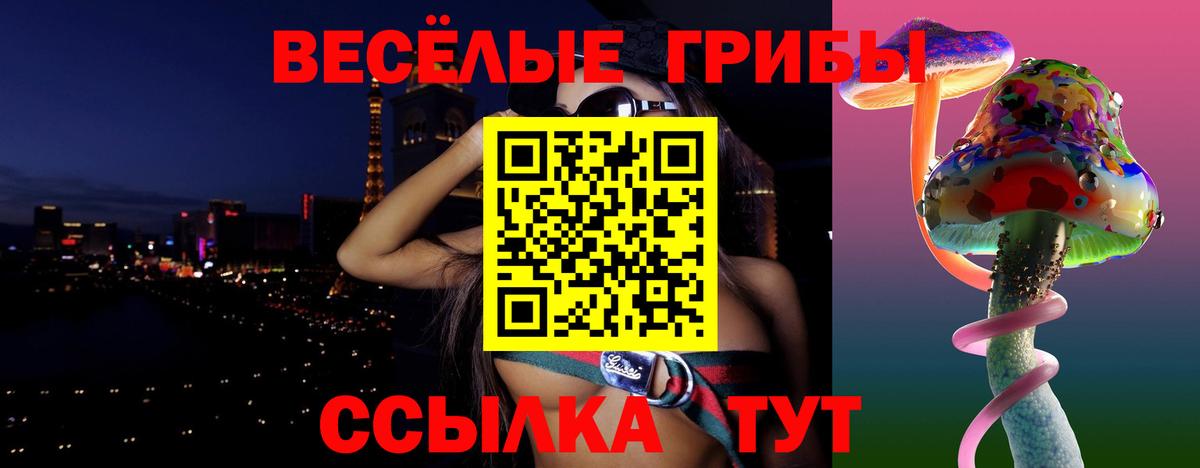 Ахтубинск  Галлюциногенные грибы Psilocybe  Вход с VPN 
