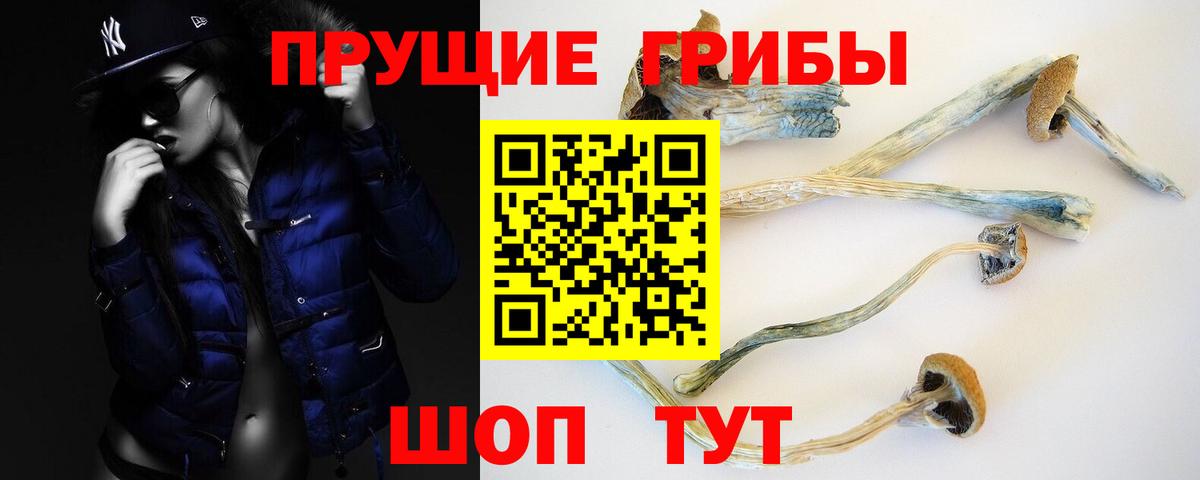 Галлюциногенные грибы Psilocybine cubensis Ахтубинск